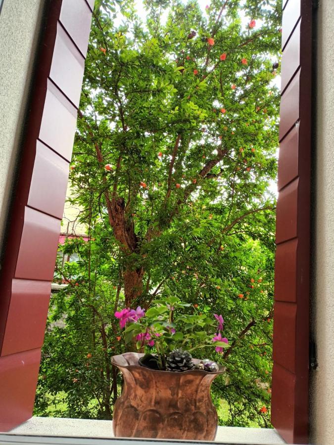 Hotel Il Melograno Vittorio Veneto Exterior foto